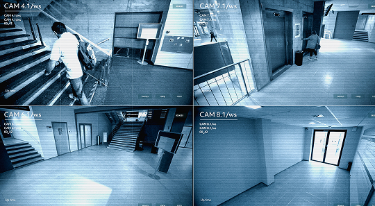 Live Video Monitoring Illustration